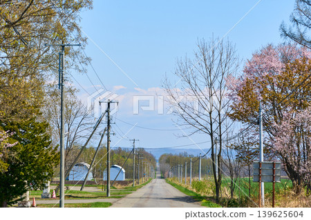 A straight road in Hokkaido 139625604