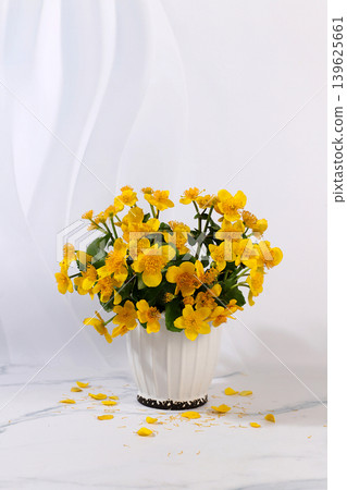 Still life with beautiful spring branches of blooming yellow globeflower in a vase against an elegant background.Abstract floral arrangement and banner for the screen. A floral holiday card Still life with beautiful spring branches of blooming yellow globeflower in a vase against an elegant background.Abstract floral arrangement and banner for the screen. A floral holiday card 139625661