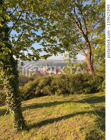 Scenic view of a historic town with rooftops and a church steeple Scenic view of a historic town with rooftops and a church steeple 139625849