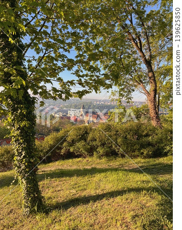 Scenic view of a town nestled in a valley surrounded by lush Scenic view of a town nestled in a valley surrounded by lush 139625850