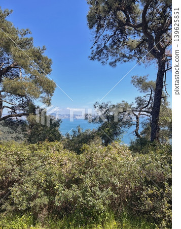 Scenic view of a tranquil lake surrounded by lush greenery and tall 139625851