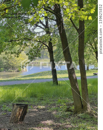 Scenic view of a tranquil lake surrounded by lush green trees and 139625852