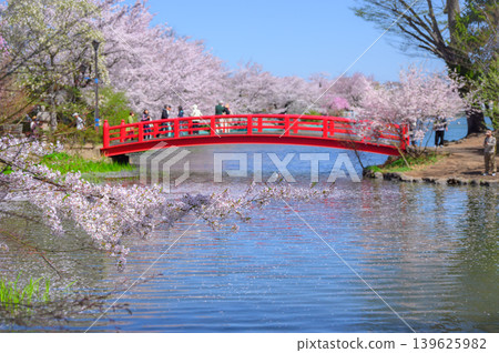 [Garyu Park] Ryugaike Pond in Spring [Suzaka City] 139625982