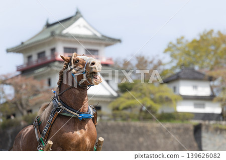 和久屋櫻花節東北挽馬比賽:挽馬克服障礙 和久屋櫻花節東北挽馬比賽:挽馬克服障礙 139626082