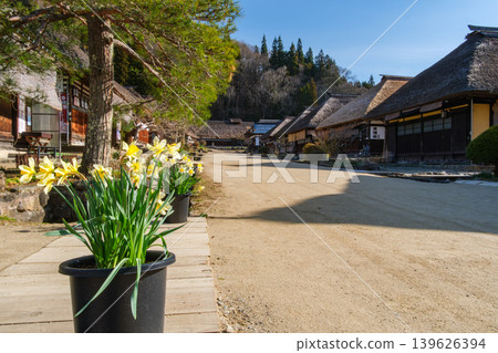 Daffodils and thatched roofs Daffodils and thatched roofs 139626394