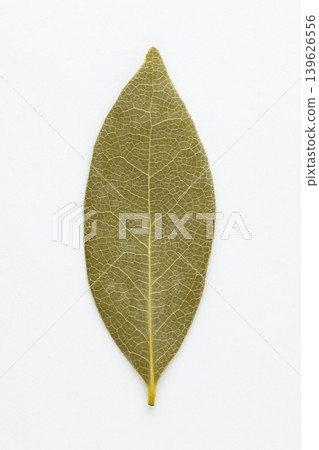 A photograph of a single dried bay leaf taken from directly above against a white background. A photograph of a single dried bay leaf taken from directly above against a white background. 139626556