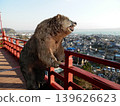 大福吉 139626623