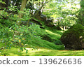 Fresh green garden 139626636