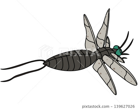 A stylized illustration of Stenodictia (ancient beetle) from the Carboniferous period. A stylized illustration of Stenodictia (ancient beetle) from the Carboniferous period. 139627026