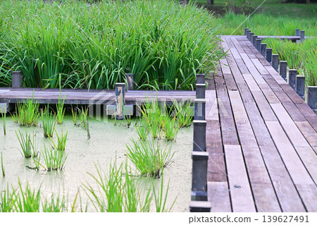 Water and Time Plaza, Waterside, Heisei no Mori Park, Kawashima Town Water and Time Plaza, Waterside, Heisei no Mori Park, Kawashima Town 139627491