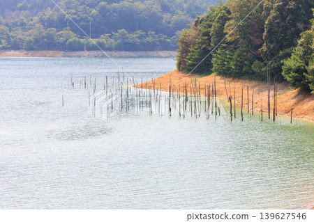 Suimei Lake in midsummer, Kojiya Dam, submerged forest 139627546