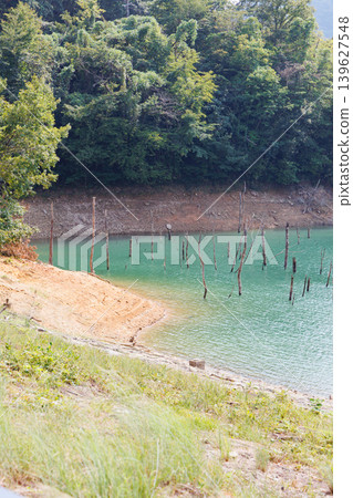 Suimei Lake in midsummer, Kojiya Dam, submerged forest 139627548