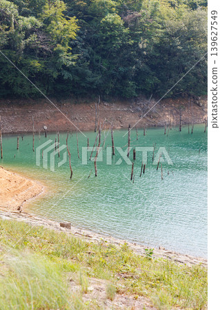 Suimei Lake in midsummer, Kojiya Dam, submerged forest 139627549