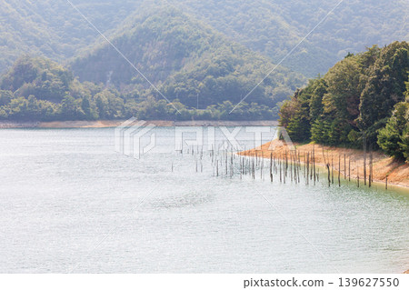 Suimei Lake in midsummer, Kojiya Dam, submerged forest Suimei Lake in midsummer, Kojiya Dam, submerged forest 139627550