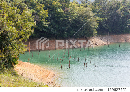 Suimei Lake in midsummer, Kojiya Dam, submerged forest 139627551