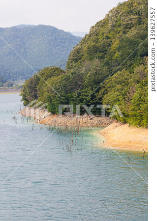Suimei Lake in midsummer, Kojiya Dam, submerged forest Suimei Lake in midsummer, Kojiya Dam, submerged forest 139627557