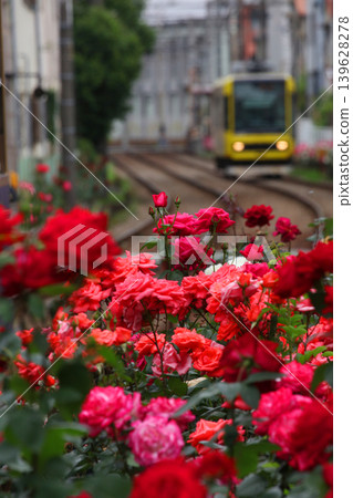 Toden Arakawa Line with blooming roses Toden Arakawa Line with blooming roses 139628278