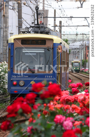 Toden Arakawa Line with blooming roses Toden Arakawa Line with blooming roses 139628282