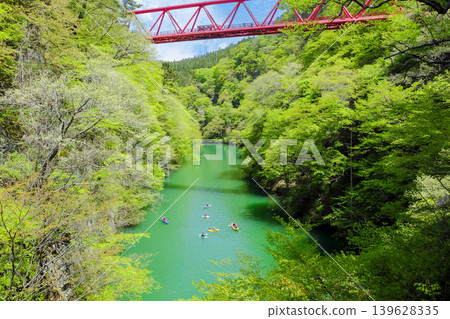 Komagata Gorge in the fresh green of spring Komagata Gorge in the fresh green of spring 139628335