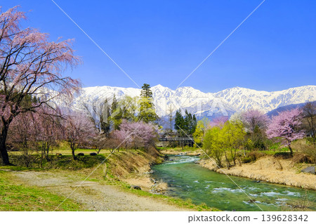The snow-capped Hakuba mountain range as seen from Oide Park. 139628342
