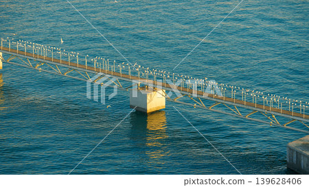 Doha, Qatar- Jan 14 2024, Aerial view of the narrow pier with lots of seagulls and albatrosses sitting and flying around, Port of Doha, at daytime, Doha, Qatar  139628406