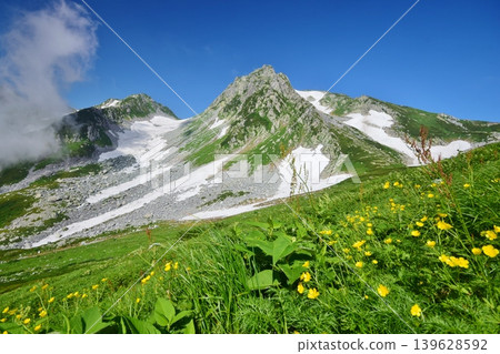 Summer in the Tateyama mountain range, where flowers bloom in profusion. 139628592