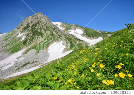 Summer in the Tateyama mountain range, where flowers bloom in profusion. Summer in the Tateyama mountain range, where flowers bloom in profusion. 139628593