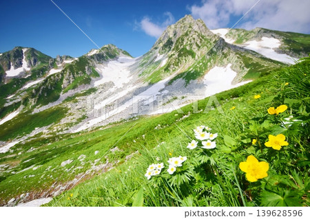 Summer in the Tateyama mountain range, where flowers bloom in profusion. Summer in the Tateyama mountain range, where flowers bloom in profusion. 139628596