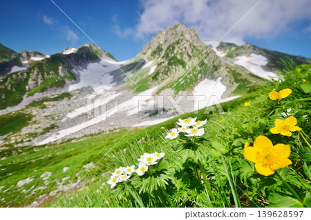 立山山脈的夏天,百花盛開。 立山山脈的夏天,百花盛開。 139628597