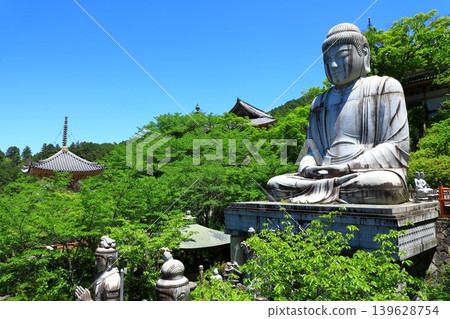 Tsubosaka Temple in the fresh greenery 139628754