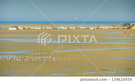 Manama, Bahrain - Jan 15 2024, Panoramic view of shoal with lots of seagulls and seabirds, in the background there are boats stranded, next to fortress of Qalat Al Bahrain, at daytime, Manama, Bahrain Manama, Bahrain - Jan 15 2024, Panoramic view of shoal with lots of seagulls and seabirds, in the background there are boats stranded, next to fortress of Qalat Al Bahrain, at daytime, Manama, Bahrain 139628939