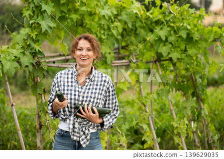 Middle-aged woman is working in garden between beds, picking ripe zucchini Middle-aged woman is working in garden between beds, picking ripe zucchini 139629035