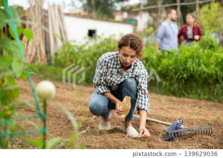 Woman is planting seeds in open ground 139629036