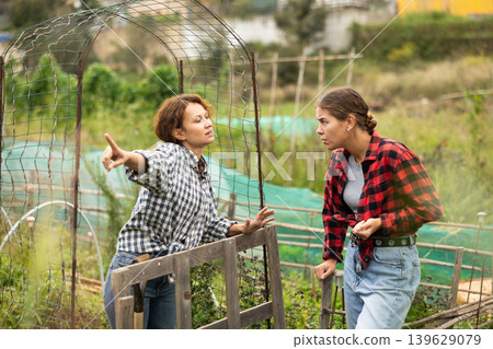 Two young European women neighbors quarrel and swear at village. 139629079