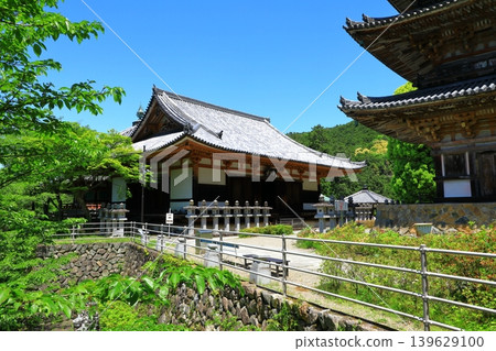 Tsubosaka Temple in the fresh greenery Tsubosaka Temple in the fresh greenery 139629100