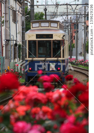 Toden Arakawa Line with blooming roses Toden Arakawa Line with blooming roses 139629196
