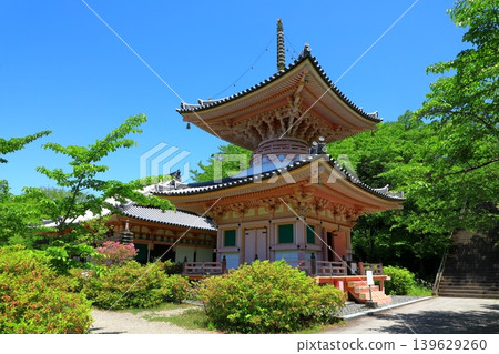 Tsubosaka Temple in the fresh greenery 139629260