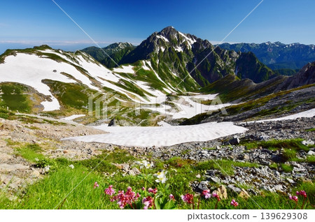 從鮮花盛開的立山穿越小徑上看到的劍山。 139629308