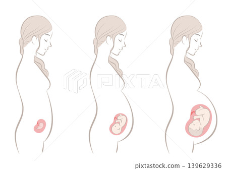 孕婦:早期、中期和晚期 孕婦:早期、中期和晚期 139629336