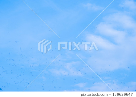 肥皂泡在空中飛舞的畫面 139629647