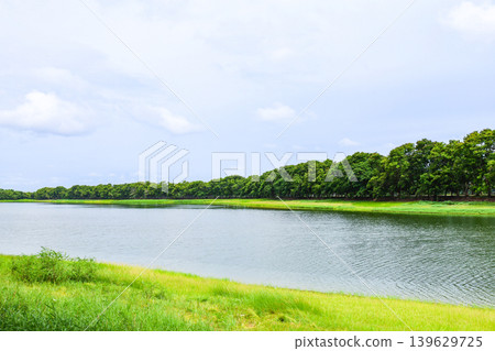 A landscape with a pond surrounded by greenery A landscape with a pond surrounded by greenery 139629725