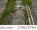 Abandoned railway tracks covered in grass 139629784