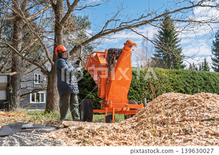 Woman operating a wood chipper to turn tree branches into mulch for a residential landscaping Woman operating a wood chipper to turn tree branches into mulch for a residential landscaping 139630027