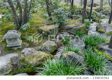 古古園「夏樹庭園」內有一條清澈的小溪流過,周圍環繞著長滿青苔的石頭(兵庫縣姬路市) 古古園「夏樹庭園」內有一條清澈的小溪流過,周圍環繞著長滿青苔的石頭(兵庫縣姬路市) 139630362