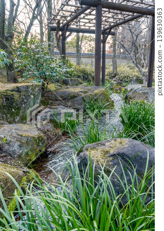 A scene from the "Summer Tree Garden" at Kokoen Garden, featuring a babbling brook and wisteria trellis (Himeji City, Hyogo Prefecture) A scene from the "Summer Tree Garden" at Kokoen Garden, featuring a babbling brook and wisteria trellis (Himeji City, Hyogo Prefecture) 139630363