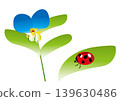 Vector illustration of dayflower and ladybug 139630486