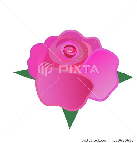 Pink rose flower illustration Pink rose flower illustration 139630635