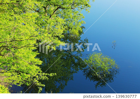 The submerged forest and lush green scenery of Lake Shirakawa, shimmering in emerald green. The submerged forest and lush green scenery of Lake Shirakawa, shimmering in emerald green. 139630777