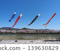 鯉魚擬餌在多布施川櫻花樹間游弋（第二部分）（山口縣多布施町） 139630829