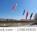 鯉魚飄帶在多布施川①（山口縣多布施町）的櫻花樹間遊動 139630830